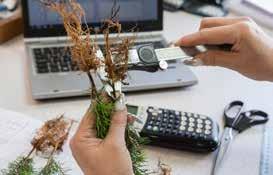 Varje år tillverkar vi ca 50 000 m 3 konstsnö för att våra plantor ska må bra. 8.