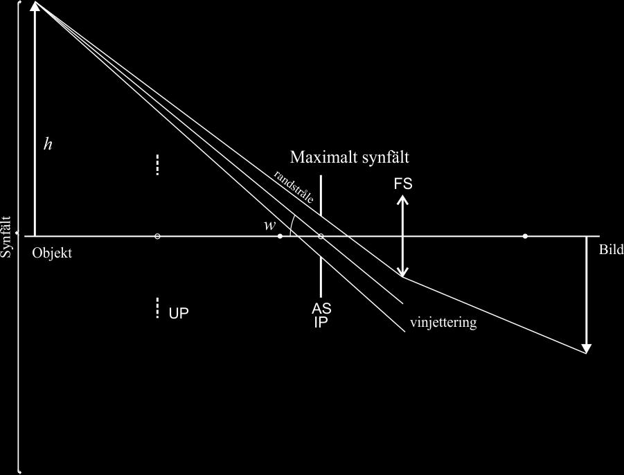 Synfält för full belysning utgörs av den del av objektet som kan avbildas utan att några strålar vinjetteras, dvs.