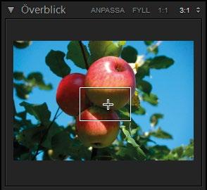 4 Grundläggande justeringar Via panelen Överblick är det oftast lättare att välja vilken del av fotot som ska visas när du har zoomat in det.