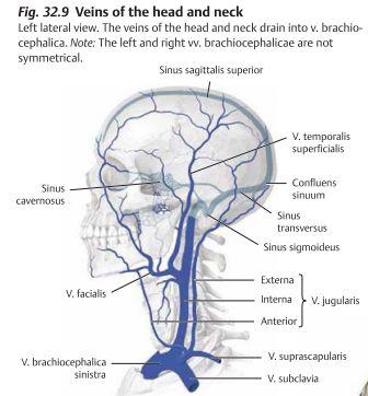 v. retromandibulars dränerar både v. jugularis externa och v. jugularis interna. Blodet från V.