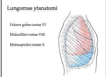 Dränaget används om man vill bli av med luft, blod, vätska som har kommit in i cavitas pleuralis.