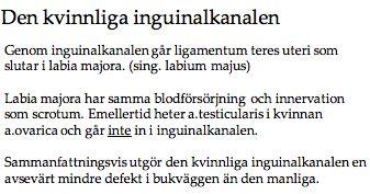 genom anulus inguinalis superficialis för att ta sig in i pungen till posteriora delen av testis.