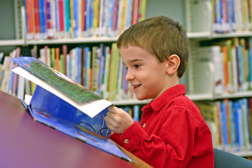 Skolbiblioteken i