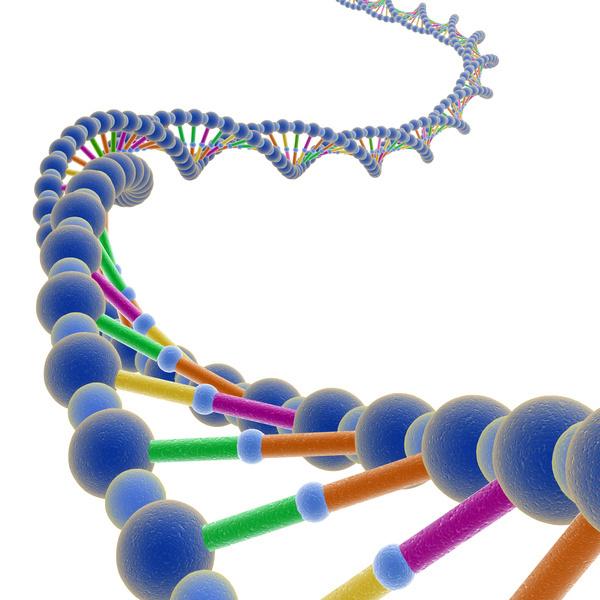 På 1950-talet upptäckte man DNA-molekylen. Denna finns i våra cellkärnor och kan förklara den upptäckt som Mendel gjorde 100 år tidigare. Vårt DNA är uppdelat på 46st kromosomer i varje cellkärna.