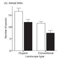 Perenner organic conventional organic