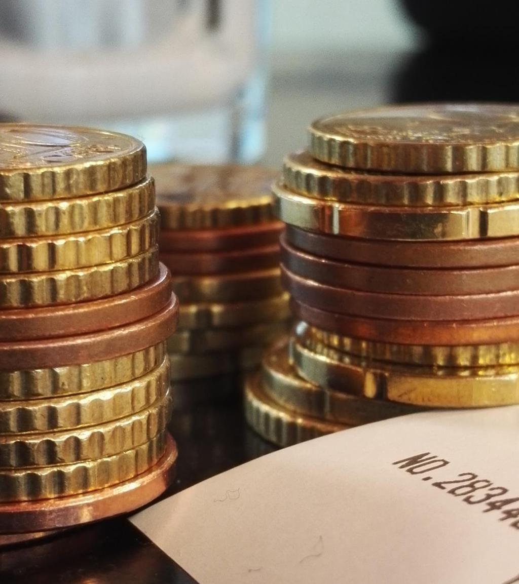 Finnveraborgen Finansiering av investeringar och driftskapital.