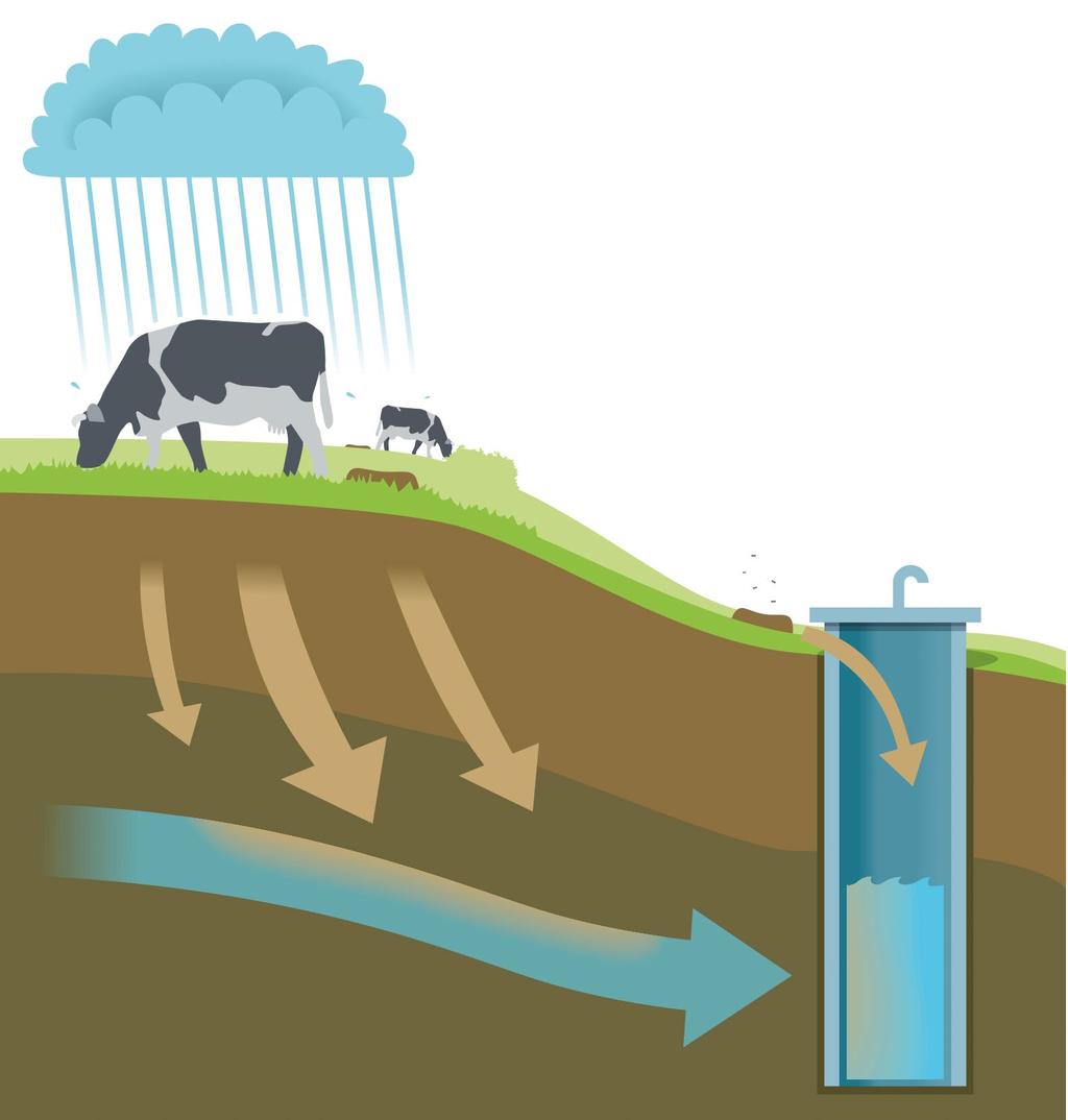 För kommersiella och offentliga dricksvattenanläggningar som understiger 10/50-regeln, använder grundvatten som råvatten, saknar beredning och i stort sett inte har någon distributionsanläggning kan