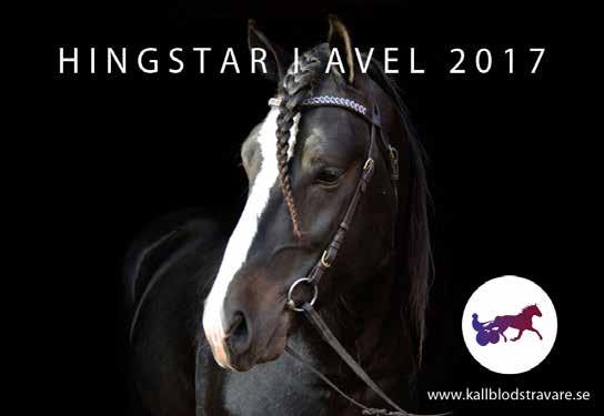 QRAVATT 7 24,8 L 25,0 M 23,5 AK 839 250 13,br. v.