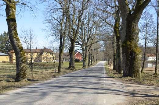 Norra delen av