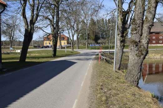 Inledning Naturcentrum AB har på uppdrag av Trafikverket/Mats Lindqvist inventerat lavar, mossor, svampar, insekter och fladdermöss i en större allé i Klagstorp, drygt 6 km söder om Skövde, Västra