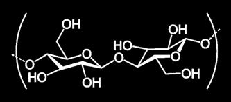 amylopektin Cellulosa: (C 6 H 10 O 5 ) n en polymer av β-glukos Bildar