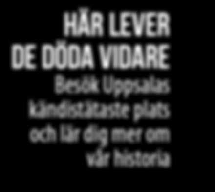 Oavsett vilket - vi