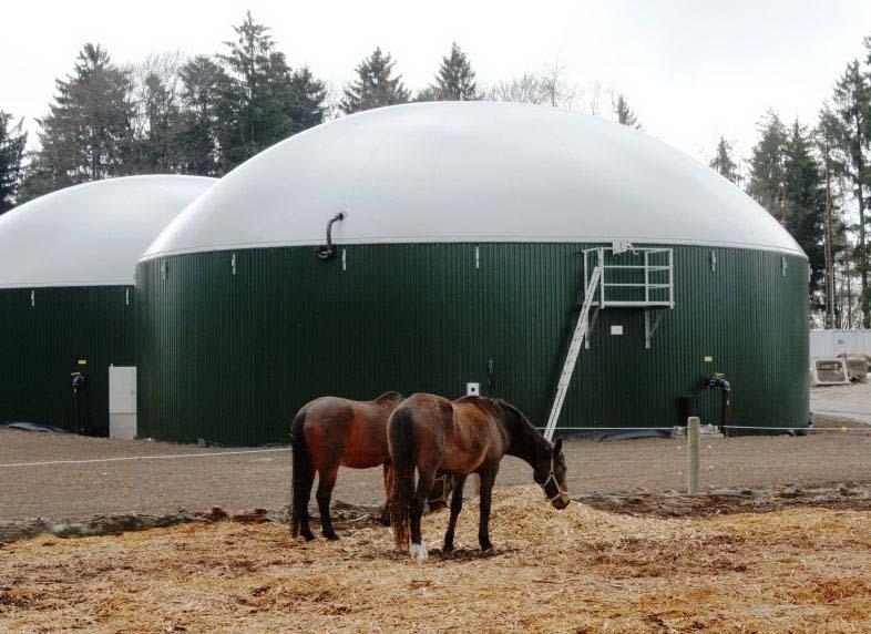 (infasning på elnätet) Värmeproduktion till ca 85 % av förnyelsebara energikällor. (ved, biogas) 2012 listades Erlach som bioenergiby av landets fackagentur.
