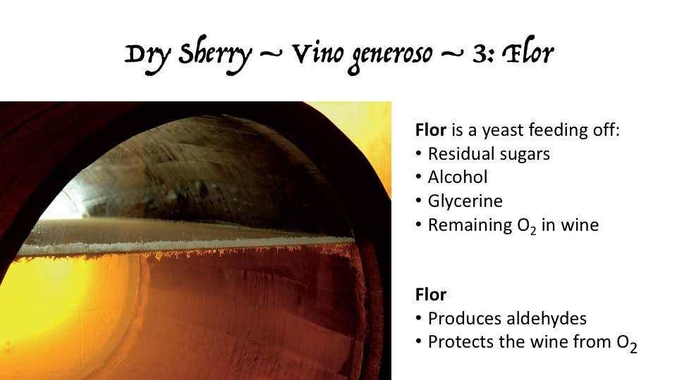 Flor: Under fermentationen arbetar jästen anaerobt (utan oxygen) och omvandlar socker till etanol resultatet är ett torrt basvin på ca 12-13% som sedan fylls på fat som fylls till ca 80% för sherry