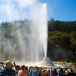 a. titta på en kiwifruktodling samt mata djuren. Efter lunch besöker vi Wai-O-Tapu Thermal Wonderland.