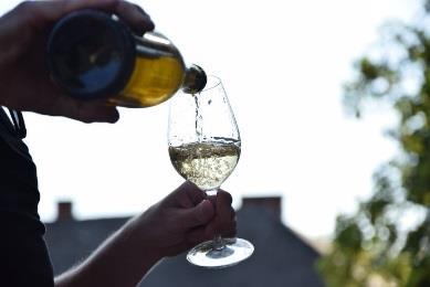 Vi besöker deras källare och gör en vinprovning med tre viner med tilltugg i form