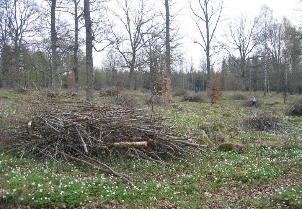 Kontakta din länsstyrelse om du tänker använda någon av dessa alternativa skötselmetoder då de kan vara i konflikt med åtaganden för miljöersättningar och krav för gårdsstödet.