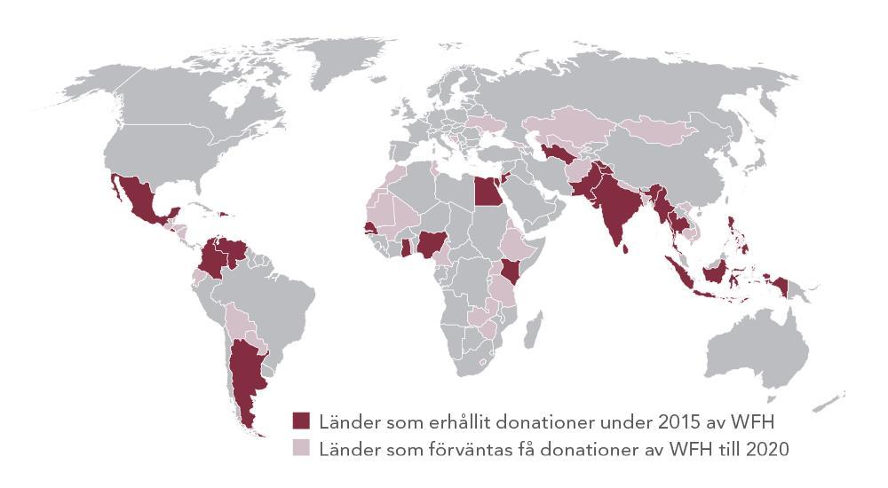 Vårt ansvar gentemot personer runt om i världen som lever med hemofili Stöttar ledarskapsprogram, ungdomsgemenskap, och workshops avseende nya teknologier i samarbete med European Haemophilia