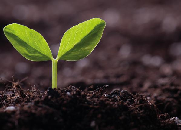 Ledningssystem Miljö Ledningssystem Miljörevision EMS ISO 14001:2015 Auditor Conversion Detta är en avancerad CQI och IRCA-certifierad utbildning med ID 1770.