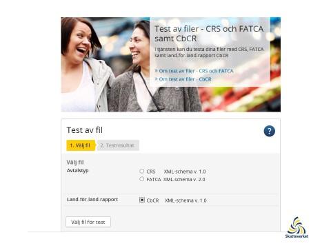 Visar testresultatet att filen är korrekt (filen validerar) så kommer det att framgå att filen har validerats utan anmärkningar.