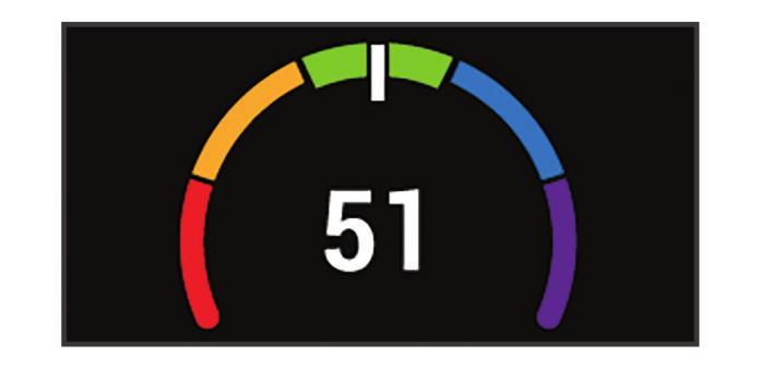 Enkelt uttryckt är VO2-max en indikation på din idrottsmässiga prestationsförmåga och bör öka allt eftersom din kondition ökar. VO2-maxberäkningar tillhandahålls och stöds av Firstbeat.
