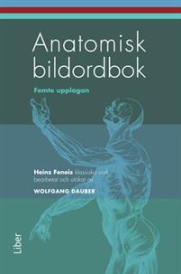 Anatomisk bildordbok PDF ladda ner LADDA NER LÄSA Beskrivning Författare: Wolfgang Dauber. Anatomisk bildordbok är en kombinerad form av atlas och lexikon där termerna är ordnade efter organsystem.