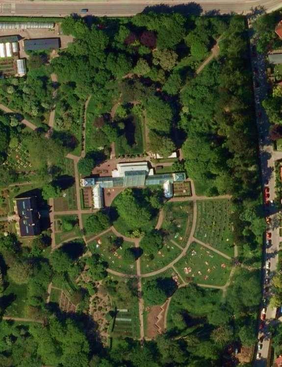 Botaniska trädgården