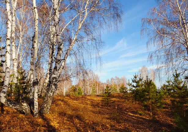 Producentobunden läkemedelsinfo Namn titel Klinisk farmakologi