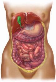 Som bekant så ligger vissa organ mot den posteriora bukväggen och täcks enbart av peritoneum på dess anteriora yta. Exempel på sådana strukturer är njurarna, Colon asc. et desc.