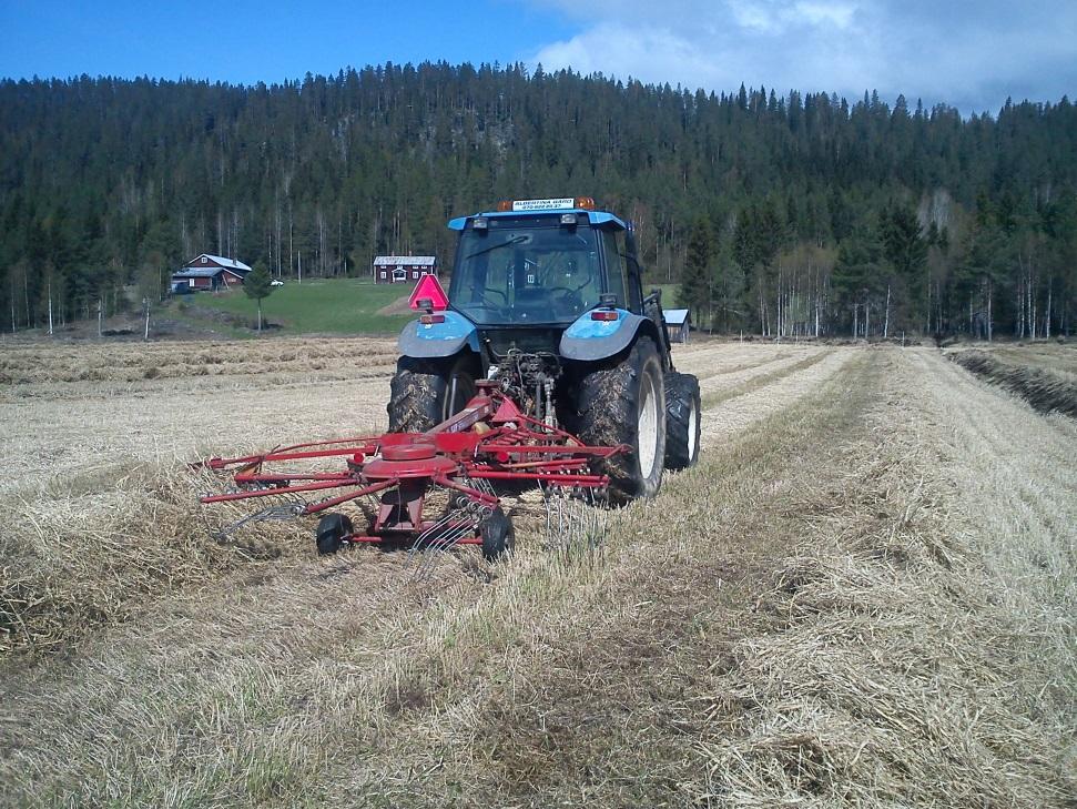 Erfarenheter 2012 från Albertina gård Rörflenet slogs med