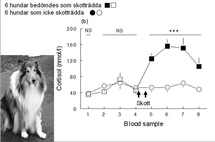 Journal of Endocrinology (00) Kan funktionell magnetresonanstomografi (fmri) säga något om hundars känslor?