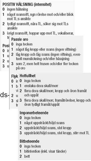 Kopplingar till framgång på bruksprov Arvbarhet MH BPH 6 7 8 9 0 6 7 8 9 0 6 7 8 9 0 Socialitet Lekfullhet Jaktintresse