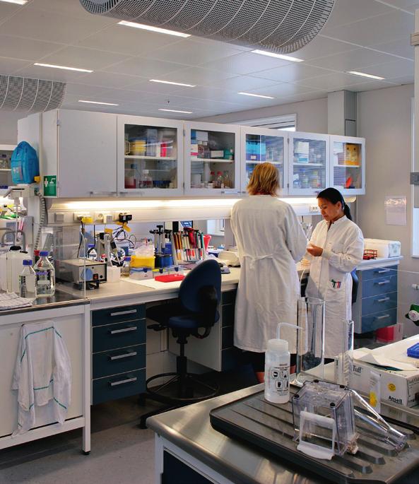 Uppdraget omfattar ett antal laboratorier med flera nödduschsystem från BROEN-LAB.