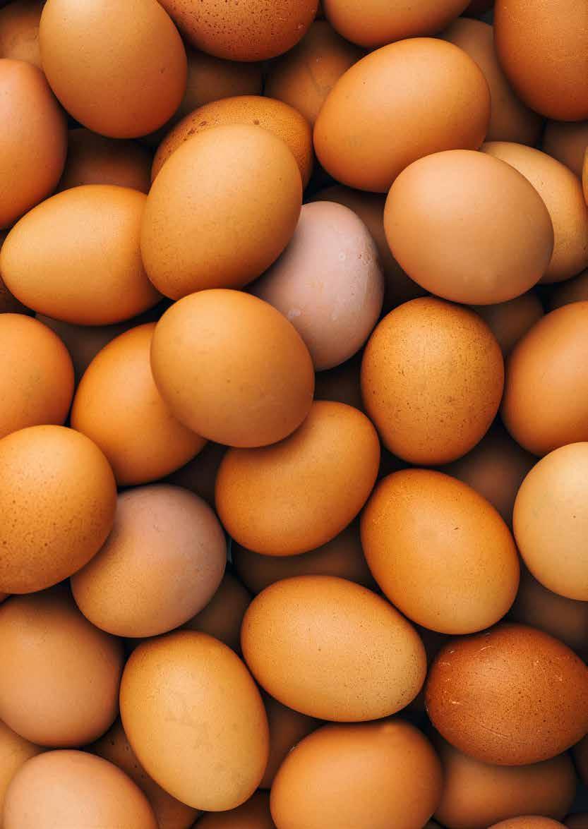SAMMANFATTNING DUBBLA BUDSKAP Många svenska butiker och matkedjor har en uttalad policy mot försäljning av burägg när det gäller färska ägg som är ett konkret och tydligt val för konsumenten.