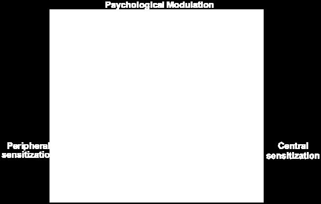 somatosensory cortex pacc Insula Thalamus