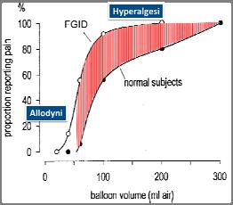 Spinoreticular Spinothalamic Test balloon