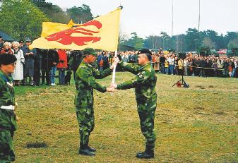 SVENSKA FÖRSVARSMAKTENS FÄLTTECKEN EFTER MILLENNIESKIFTET THE FLAGS AND STANDARDS