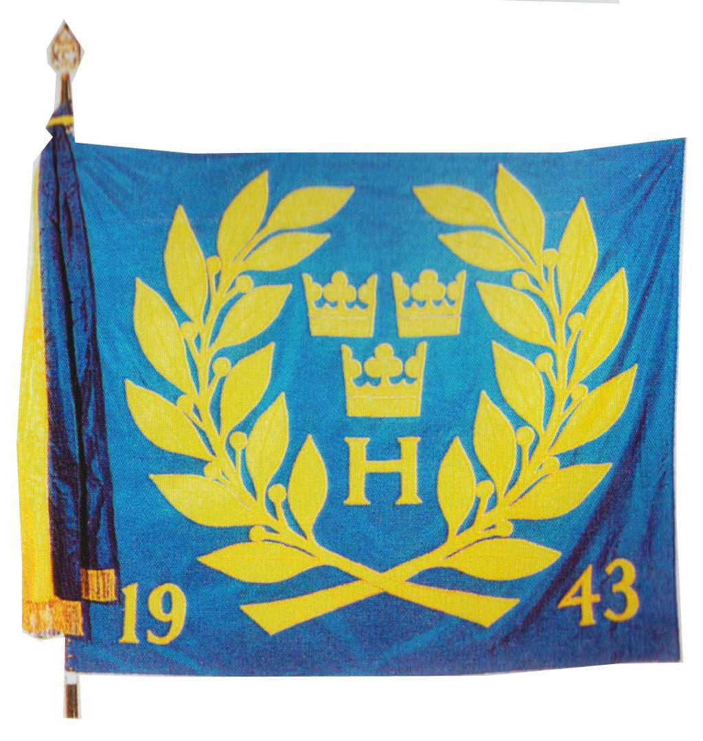 Fanan överlämnades 1993-05-27 av HM Konung Carl XVI Gustaf i samband med skolans 50 årsjubileum i Vällinge.