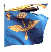 SKÅNSKA FLYGFLOTTILJEN (F10) Beskrivning av F10 fana På blå duk i mitten flygvapnets vapenbild; under en kunglig krona en vingad tvåbladig propeller, allt i gult.