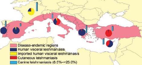 Leishmaniasis in southern Europe.