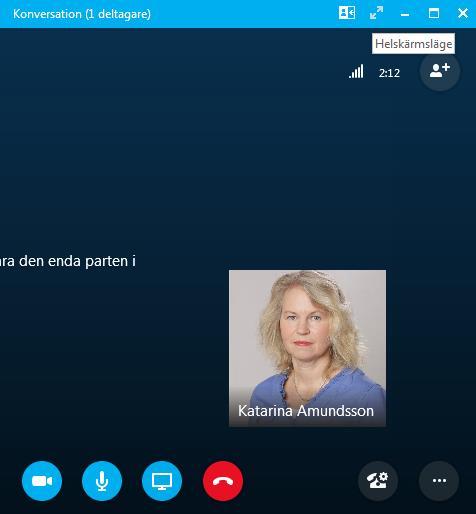 Mötesinställningar, helskärmsläge under Skype-möte 1.