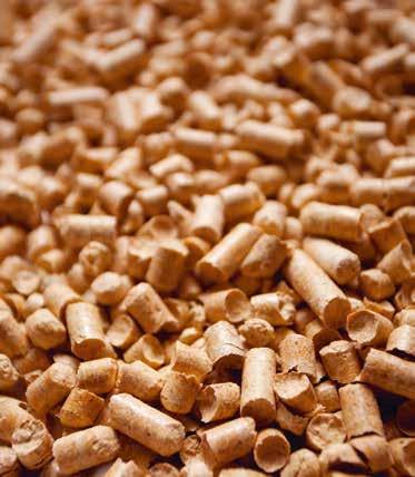 BRÄNSLELAGRING Det finns alltid plats för pellets Pelletsförrådet kan bekvämt inrättas där oljetanken tidigare stod.