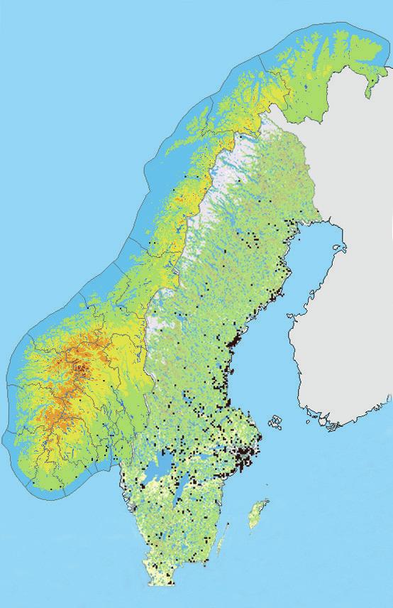 Figure 4. Reports of Great Grey Owls from Norway and Sweden in 2012, as revealed through the mapping command of the national species archives.