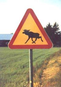 Blandning av teckentyper Ikoniskt (bild påp älg för f en älg i verkligheten) Symboliskt