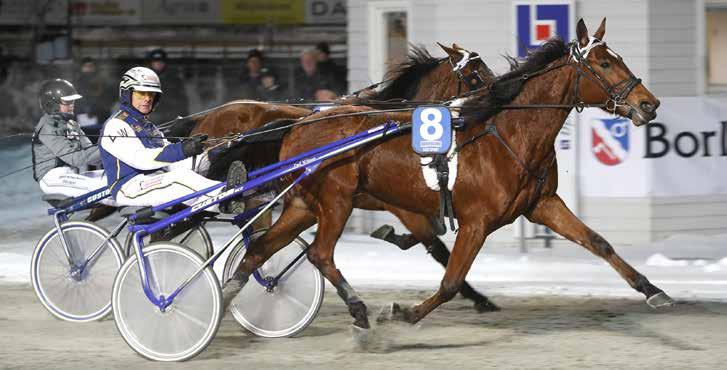 nyhetsbörsen januari2018 180108 Ny seger för Leif och Leka Met spetsade öron skär Leka mållinjen som vinnare på Romme.