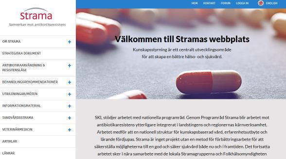 regeringen Programråd Strama