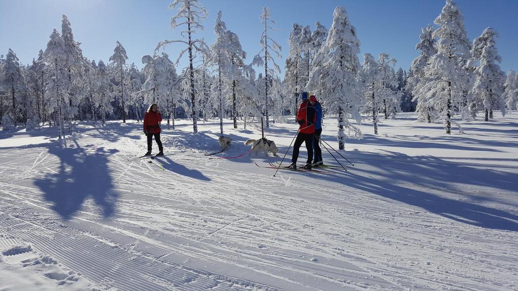 SOLLEFTEÅ KOMMUN GRUPPERING I FEM OMRÅDEN SOM VI ARBETADE VIDARE MED Gråzonen vems