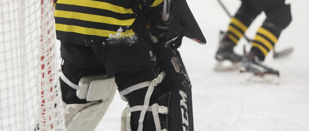 AIK Ungdomsishockey Leken ska inom ungdomsishockeyns yngre åldrar vara en grundförutsättning. Träningar och matcher ska alltid ske på barnens/ungdomarnas villkor och utifrån deras förutsättningar.