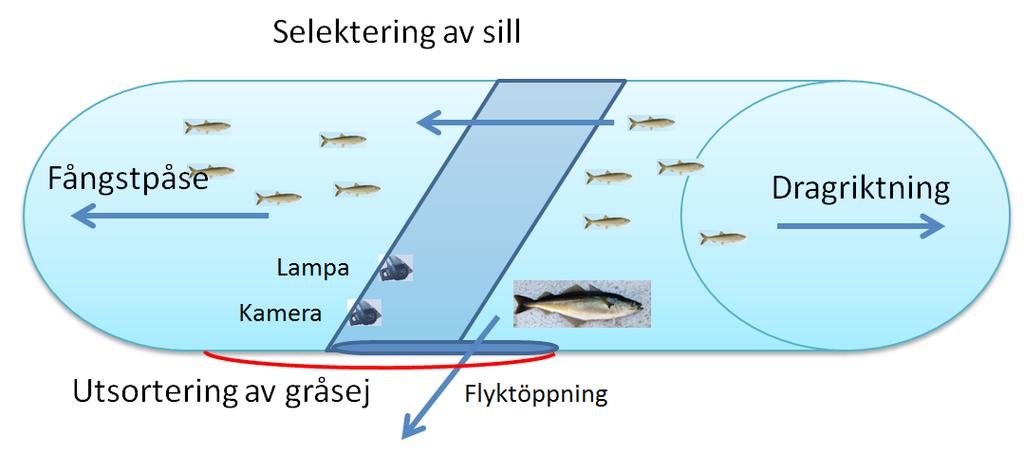 Aqua reports 2018:4 och få den att stå som avsett.