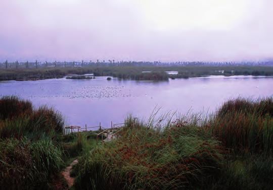 Tornamesa.